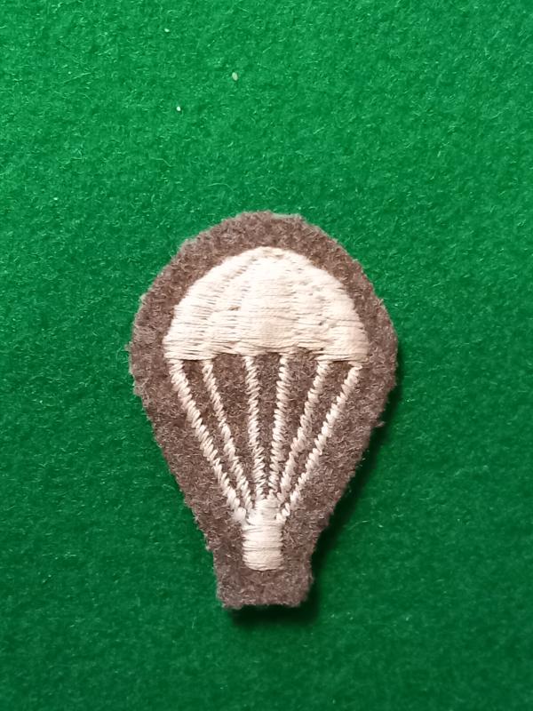 PARACHUTE TRAINED ` LIGHT BULB ` BADGE