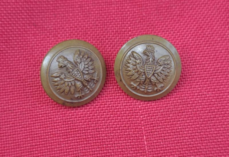 POLISH FREE FORCES PLASTIC ECONOMY BUTTONS